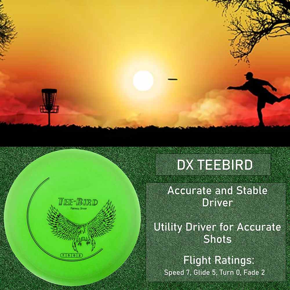 Disc Golf Set